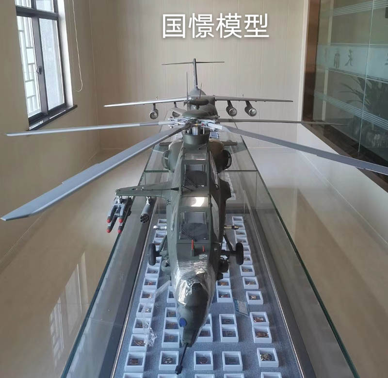 湛江飞机模型